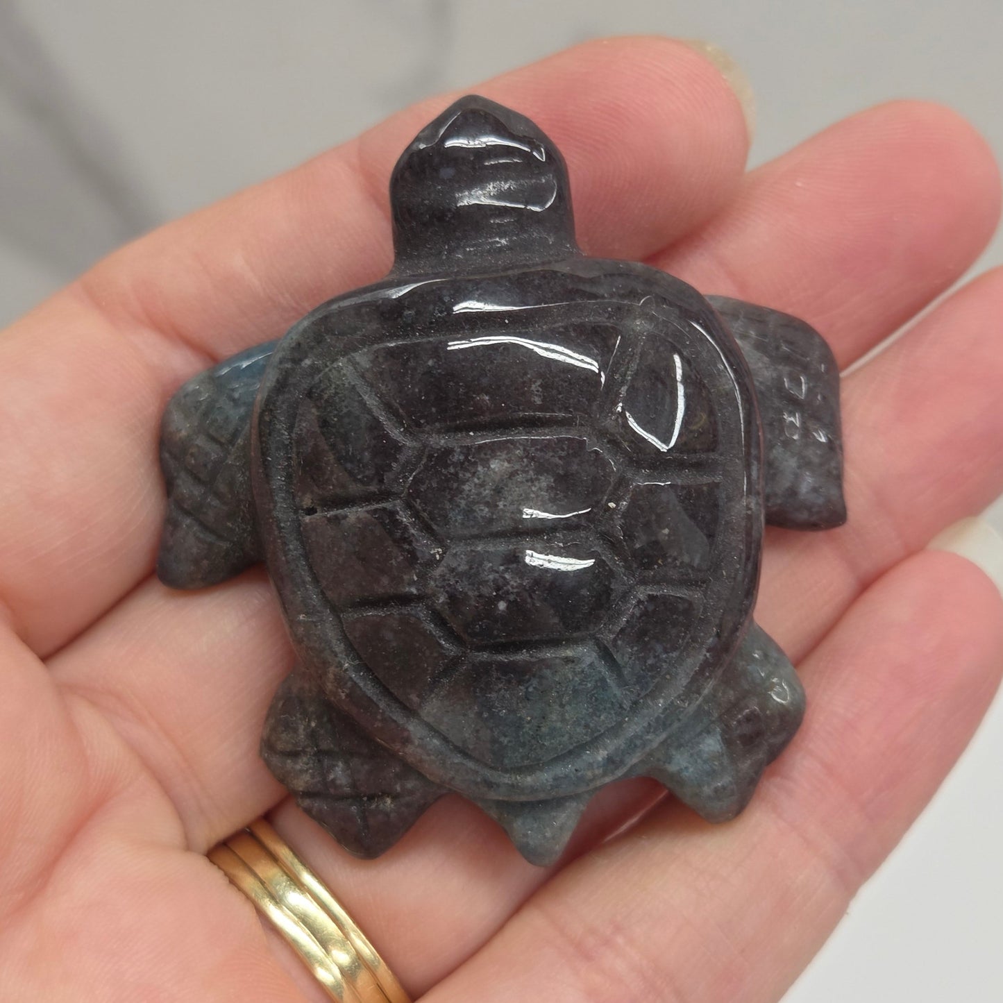 A small carved turtle figurine made of polished dark stone, held in a person's hand. The figurine has a glossy finish showing natural stone texture and patterns.