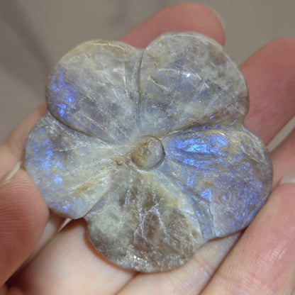 A carved stone flower-shaped pendant or charm with a five-petal design, held in a person's hand. The stone exhibits a grayish-brown base color with a strong blue iridescent play-of-color effect near the center and lower petals.