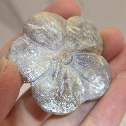 A close-up of a hand holding a small, flower-shaped stone or crystal with a rough, glittery silver-gray texture.