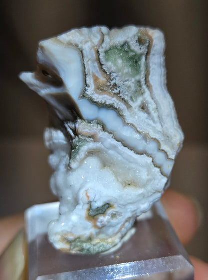 A close-up of a white and green banded stone or mineral specimen held in a clear acrylic holder, with fingers visible in the background.
