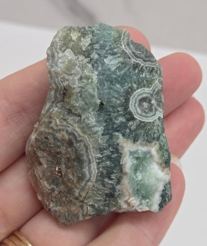 A hand holding a rough green stone or mineral specimen with concentric banding patterns, against a light neutral background.