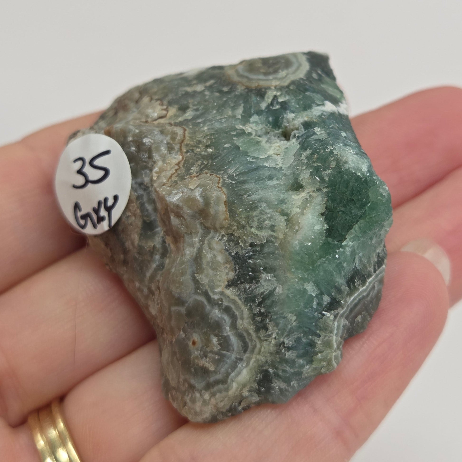 A hand holding a rough green and gray banded stone or mineral specimen, with a small white tag marked '35 544' attached near the bottom.