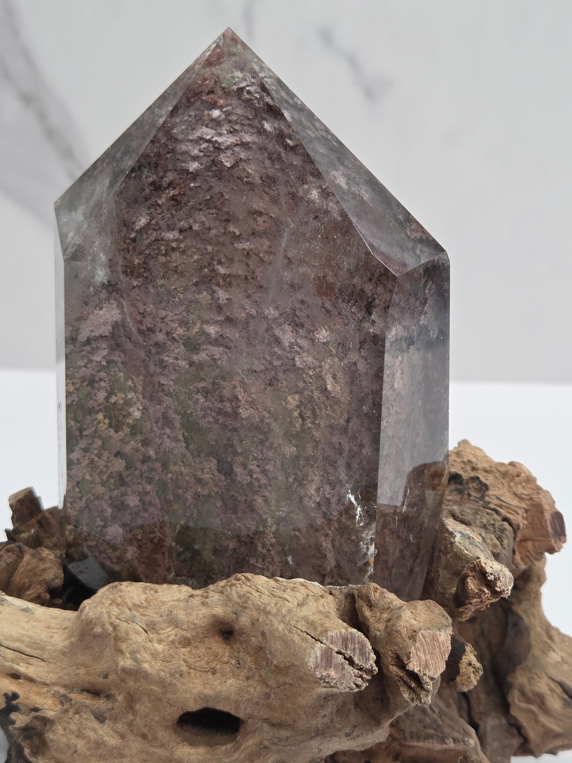 A natural pointed crystal cluster with a dark gray translucent body and rough brown rock texture, mounted on a piece of driftwood against a light gray background.