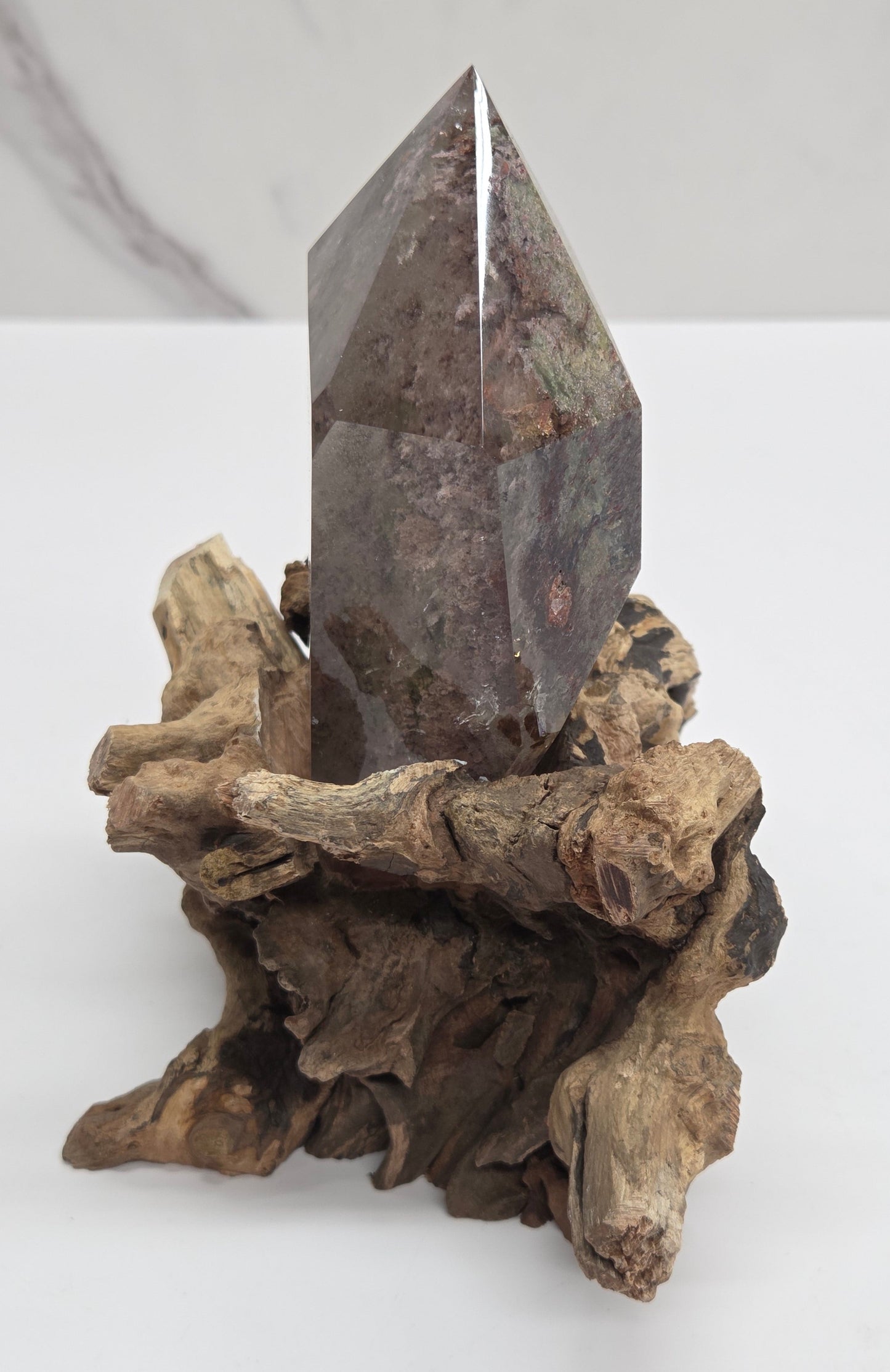 A polished dark gray crystal point mounted on a piece of natural driftwood, displayed against a clean white background.