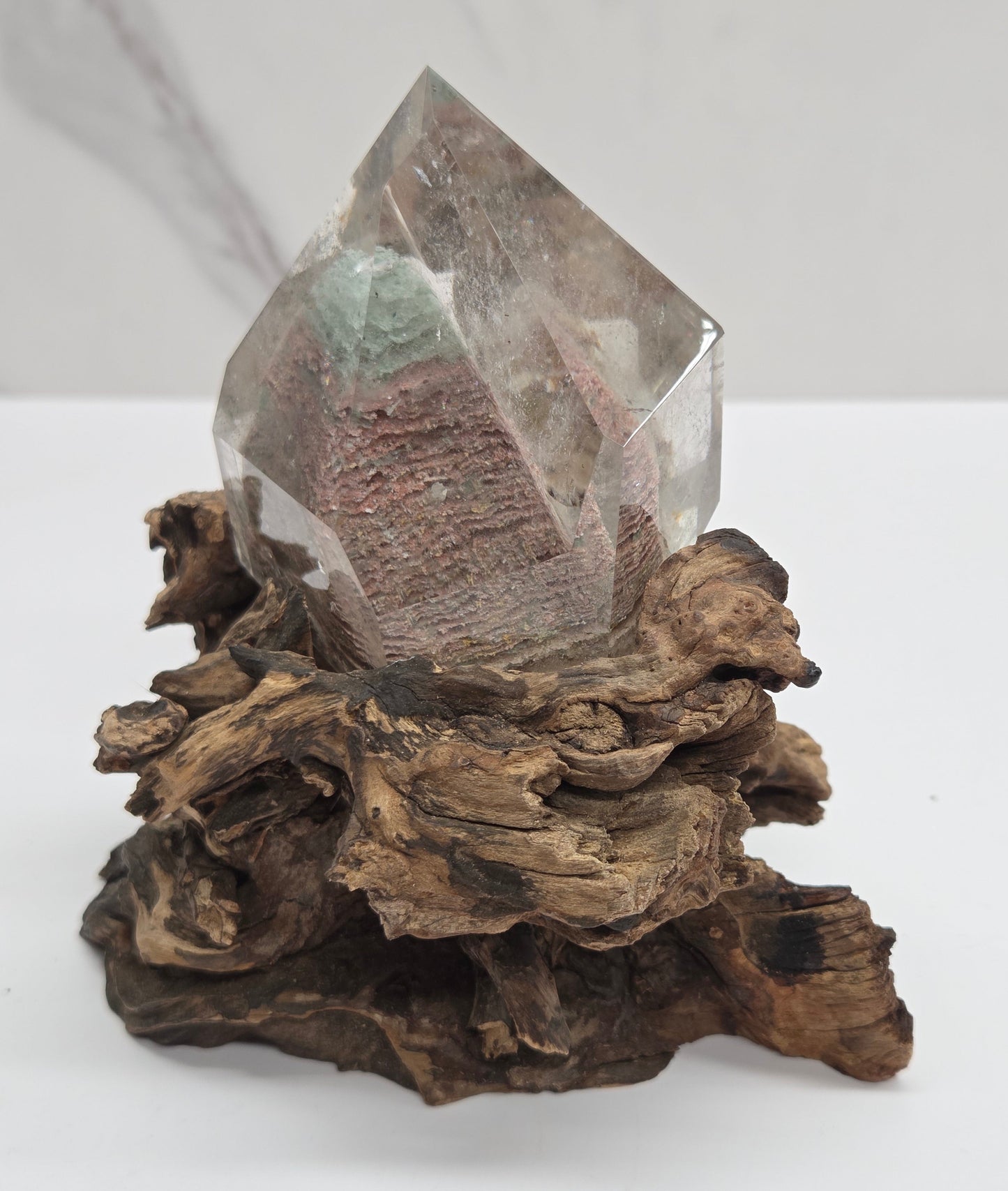 A natural crystal cluster featuring a clear quartz point embedded in textured brown driftwood, displayed against a clean white background.