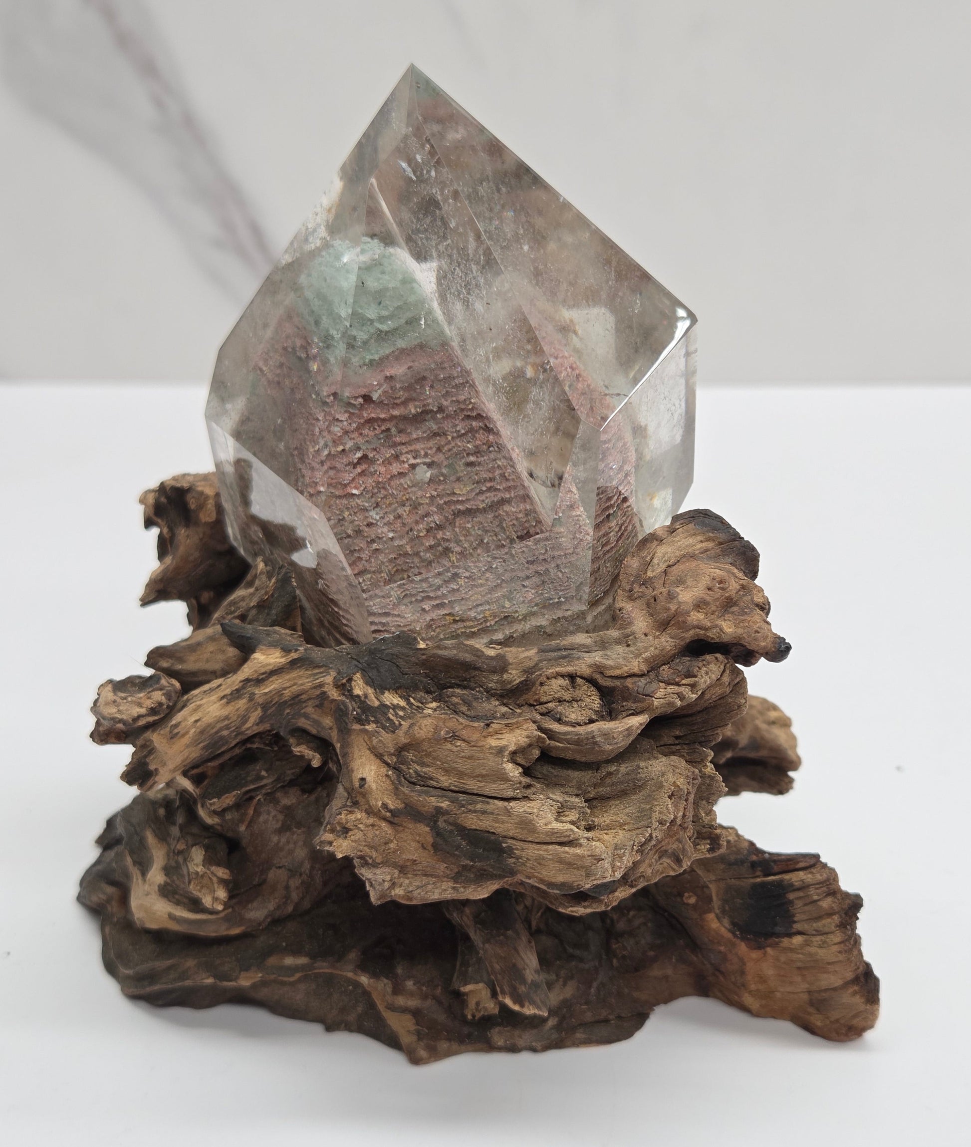 A natural crystal cluster featuring a clear quartz point embedded in textured brown driftwood, displayed against a clean white background.