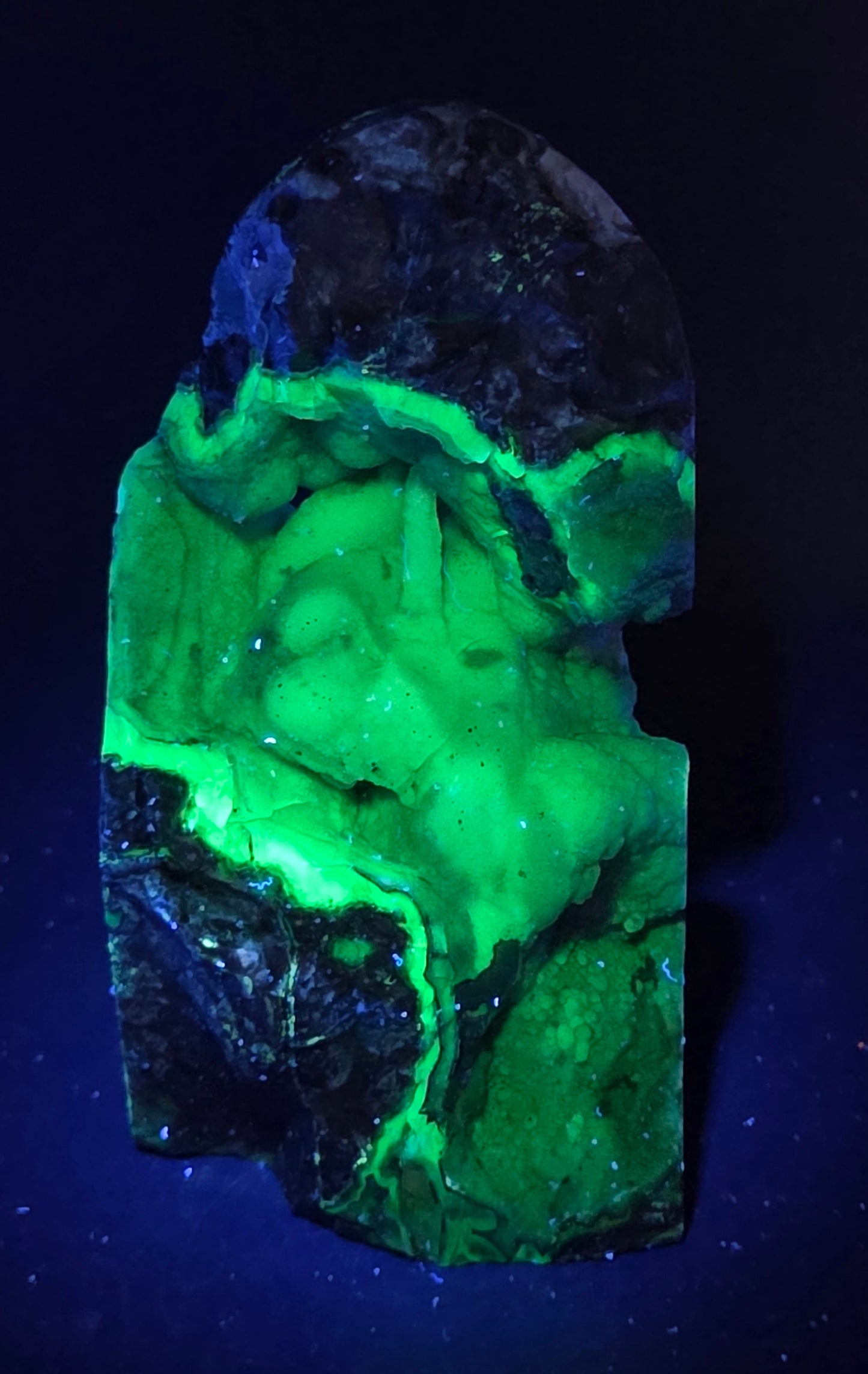 A raw mineral specimen or stone with a bright neon green interior and dark blue-black outer edges, photographed against a dark blue-black background under UV-like lighting.