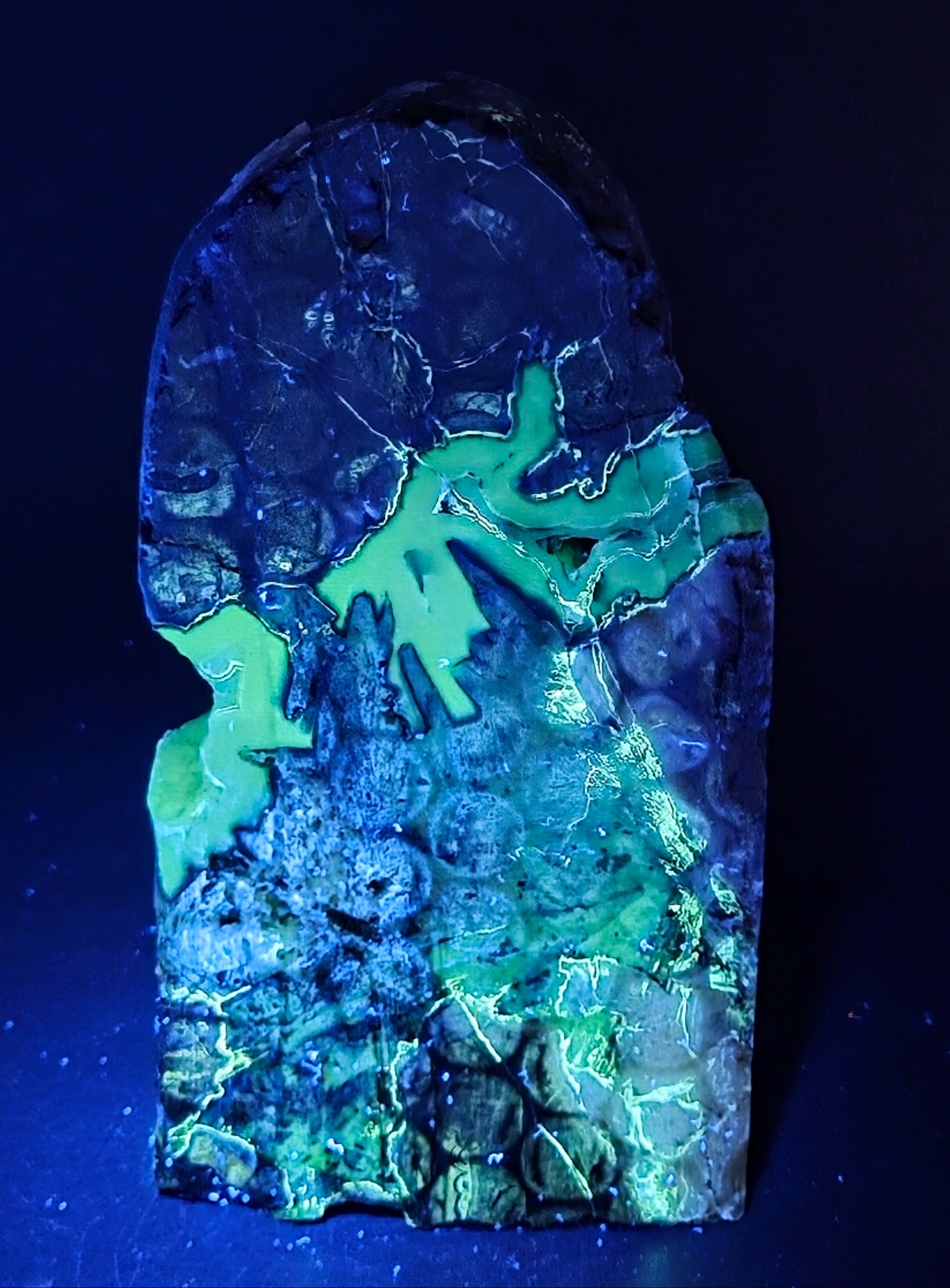 A polished stone or mineral specimen with a rounded top, glowing under blue light with dark blue, green, and turquoise marbling, set against a dark blue background.