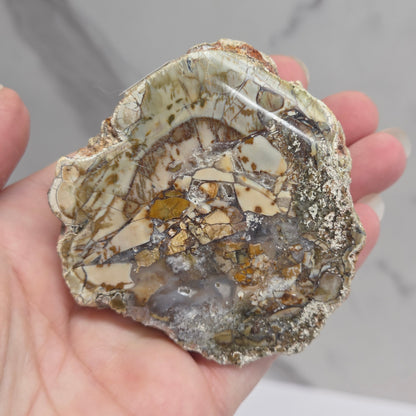 A hand holding a polished natural stone slice or geode section with layered beige, gray, brown, and metallic gold crystalline patterns against a light marble-like background.