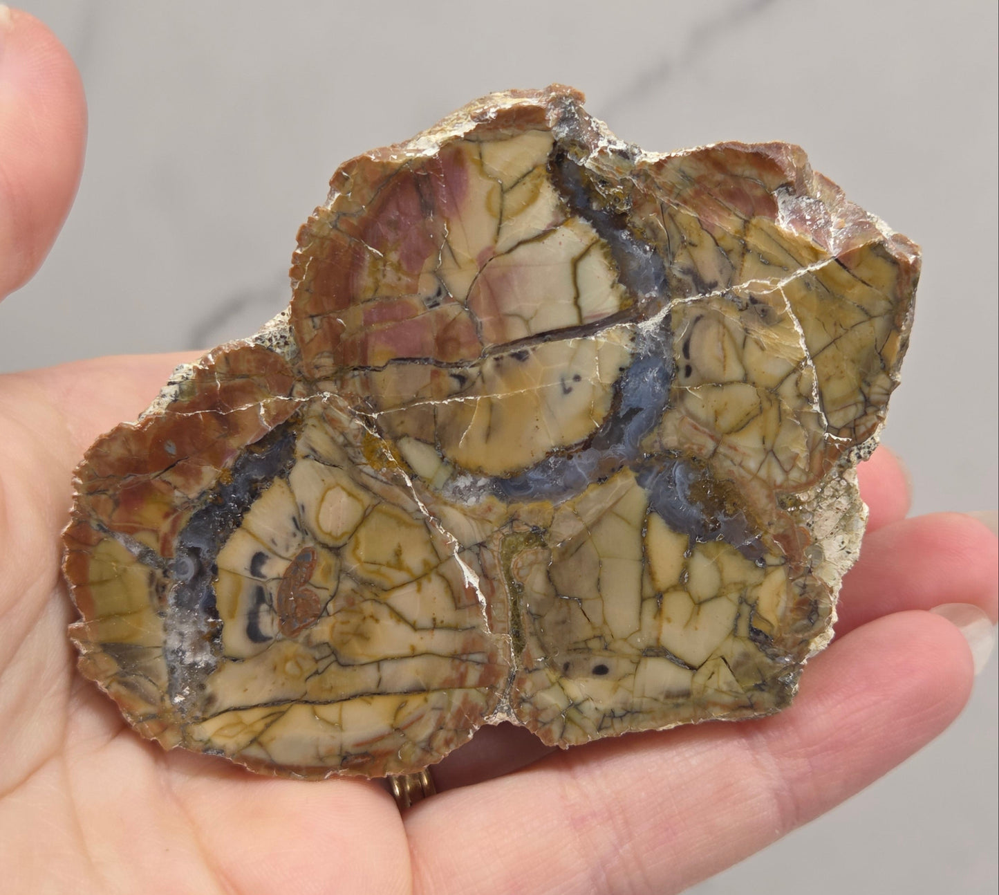 A hand holding a polished petrological stone slab with intricate crystalline patterns in shades of brown, beige, and gray.