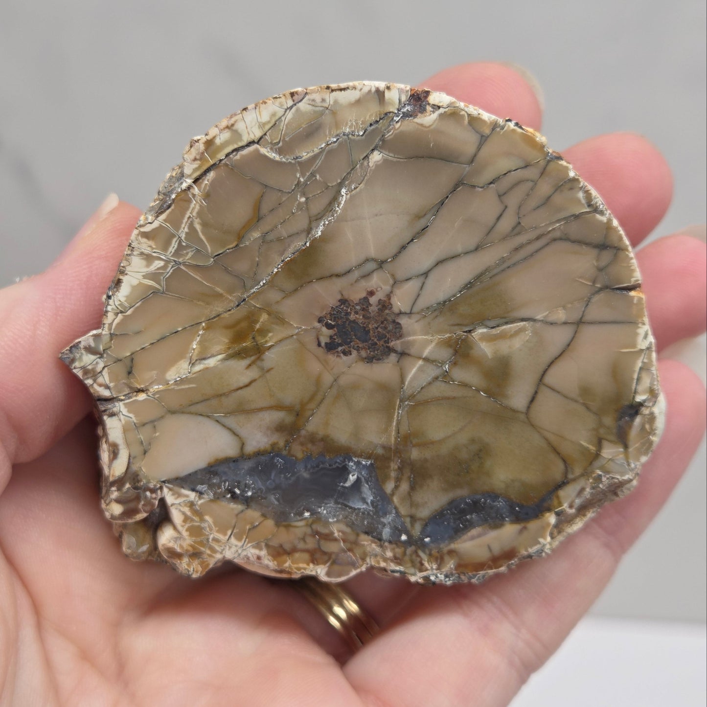 A hand holding a polished stone slice with a mottled pattern of beige, brown, gray, and black, set against a light gray marble background.
