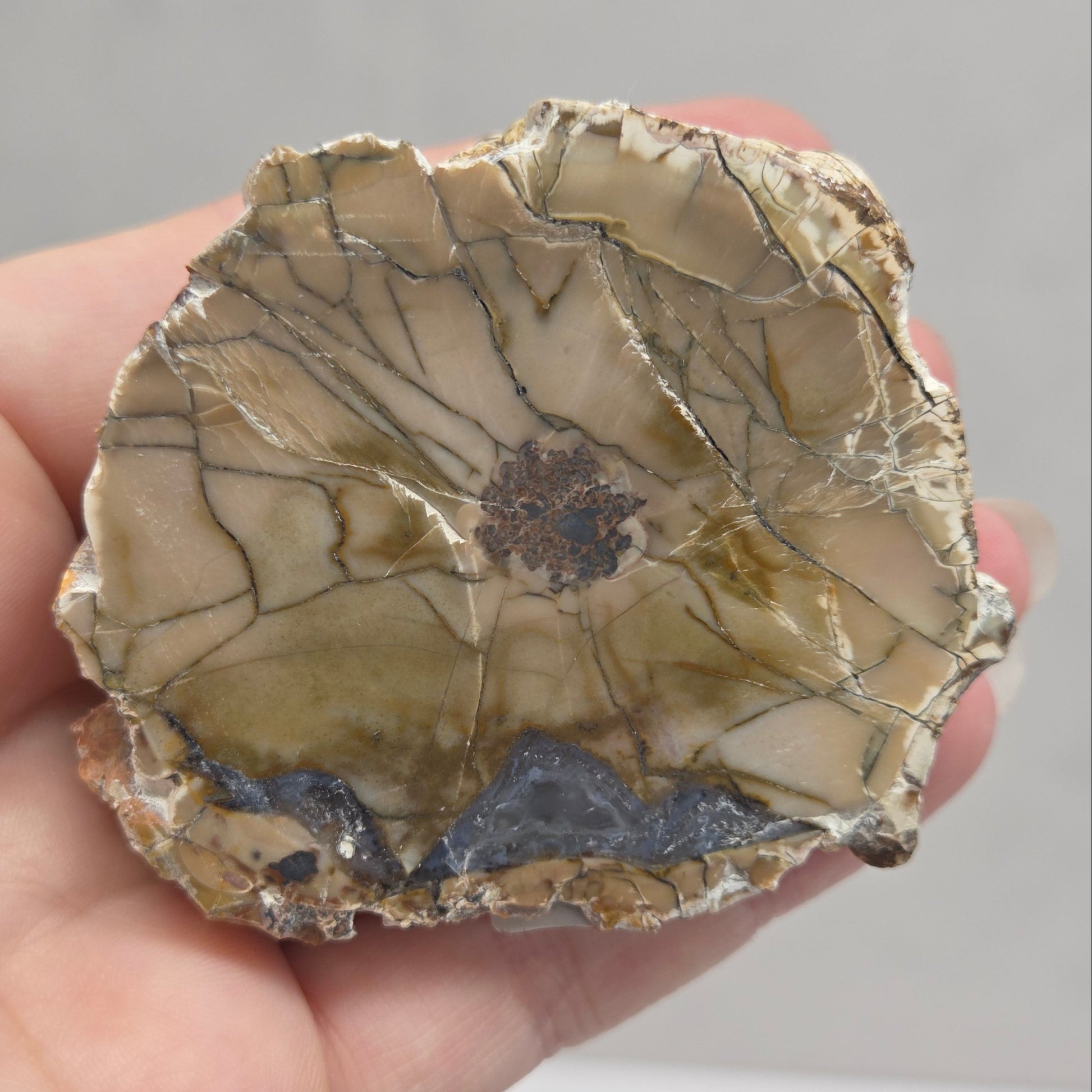 A hand holding a raw, irregularly shaped stone specimen with a beige and brown matrix, dark veining, and a small dark metallic-looking inlay on the right side.