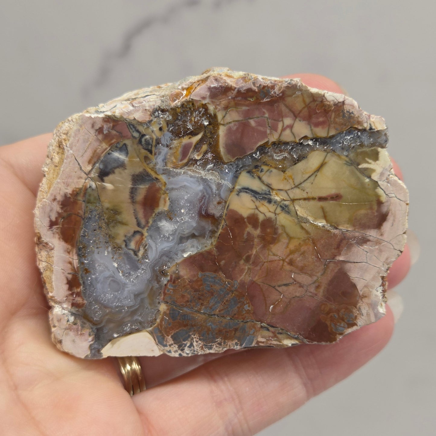 A hand holding a raw mineral specimen with a mix of brown, beige, gray, and metallic gold patterns, set against a light gray marble-patterned background.