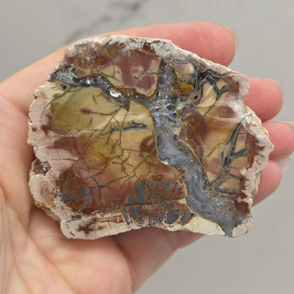 A hand holding a raw, rough polished stone slab with natural patterns of brown, beige, gray, and black.