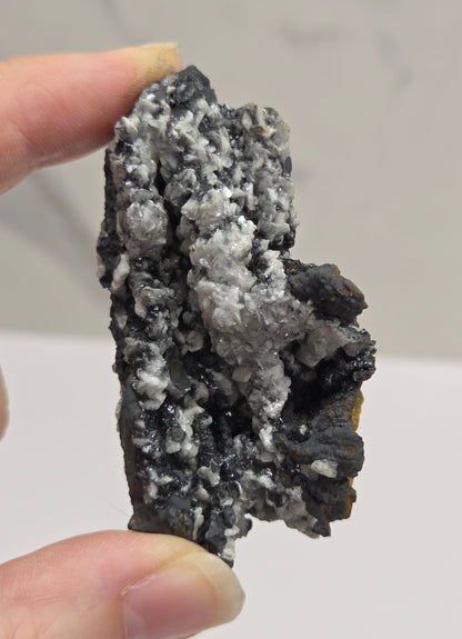 A person's hand holding a rough, textured mineral specimen with black, gray, and white crystalline structures against a light gray background.