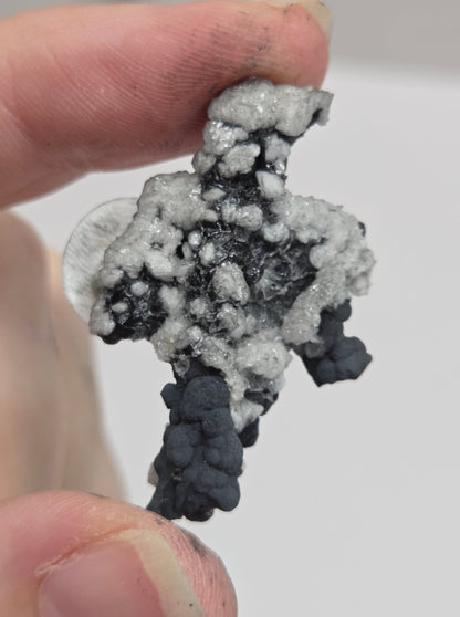 A close-up of a hand holding a small, textured mineral specimen with a mix of white, gray, and black crystalline formations against a plain light background.