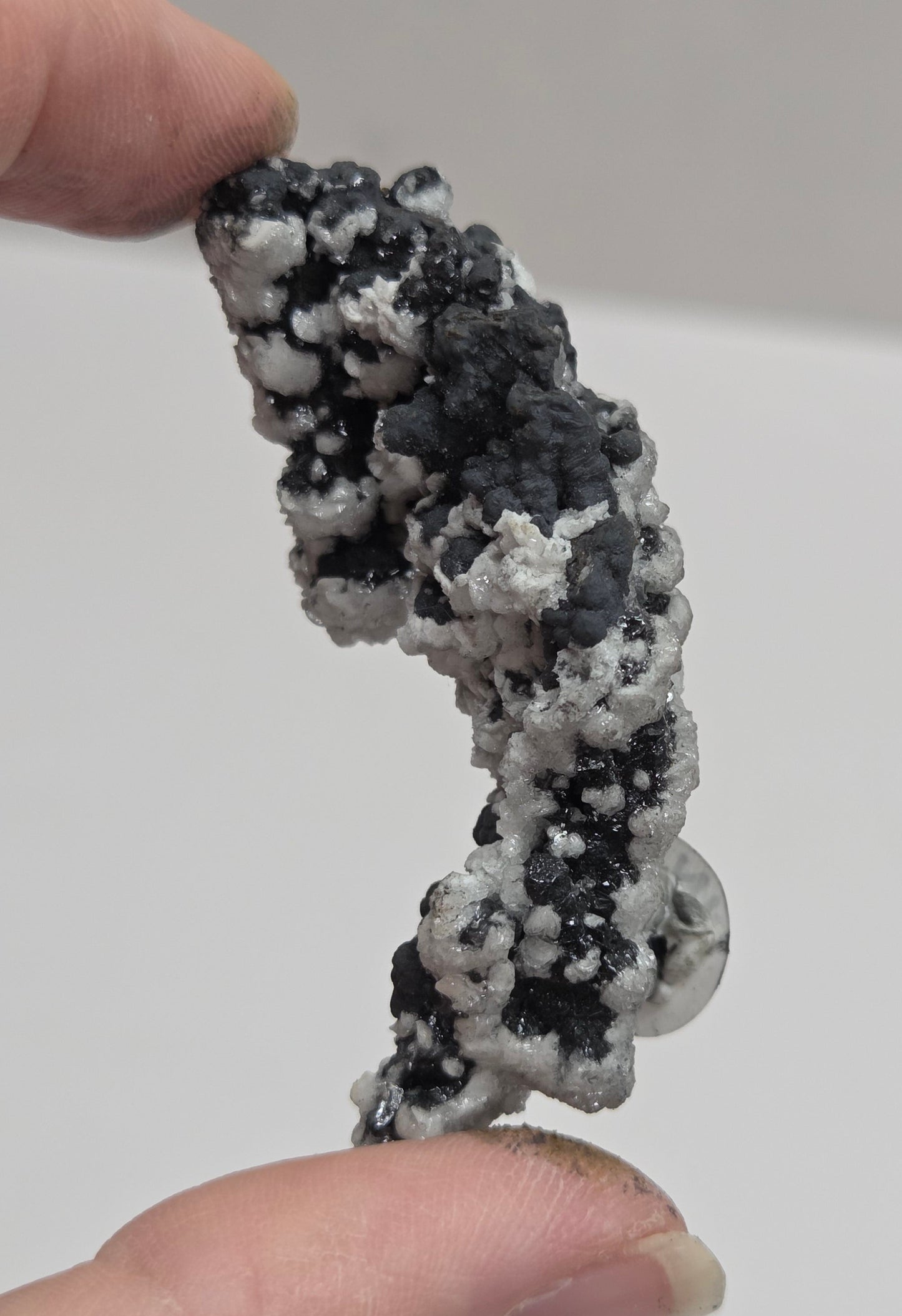 A person's hands holding a small, irregularly shaped black and white marbled or textured object against a plain light gray background.