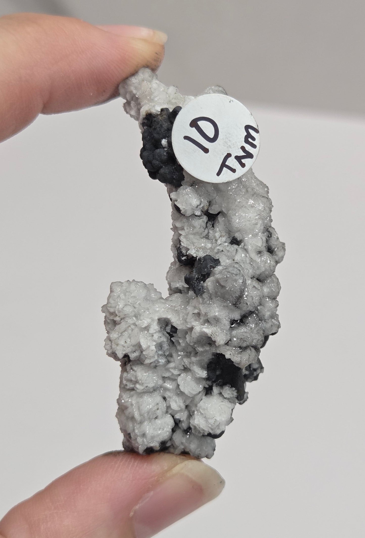 A hand holding a small, irregular cluster of white and black mineral or stone pieces, with a small white tag attached that reads 'TWN 10'.