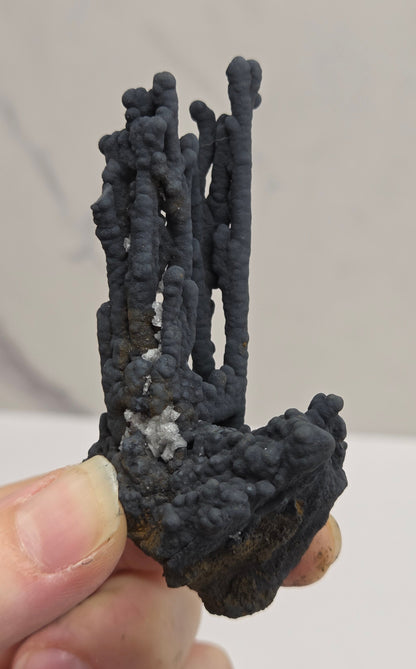 A close-up of a hand holding a dark, textured, coral-like object against a light gray background.