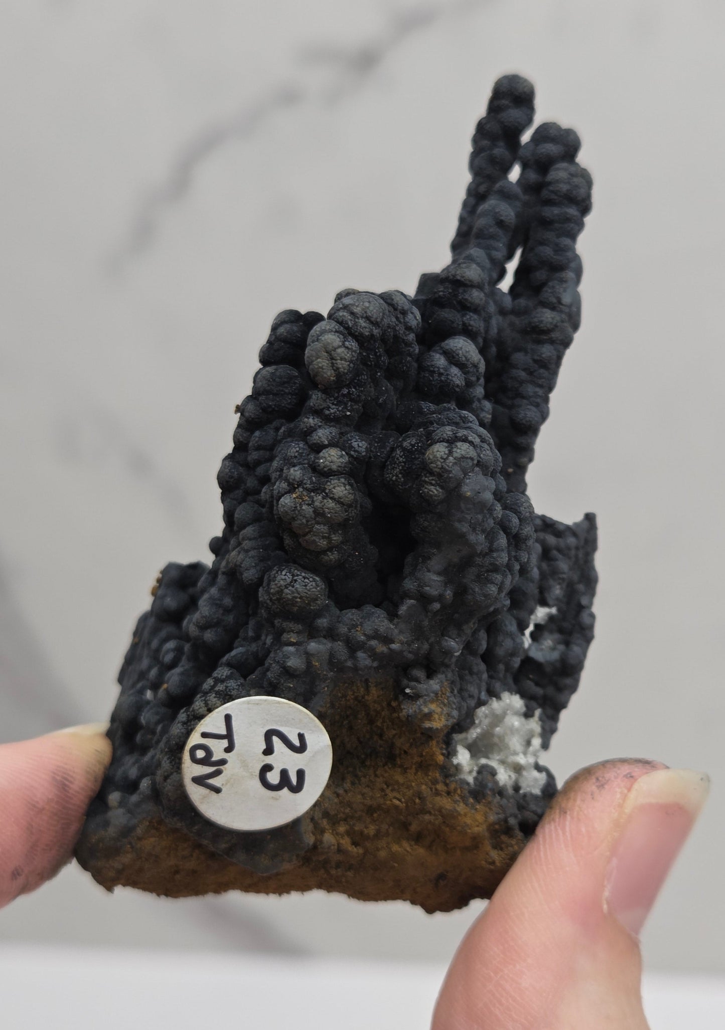 A hand holding a small natural specimen or mineral sample with a white circular tag marked '23' against a light gray marble-like background.