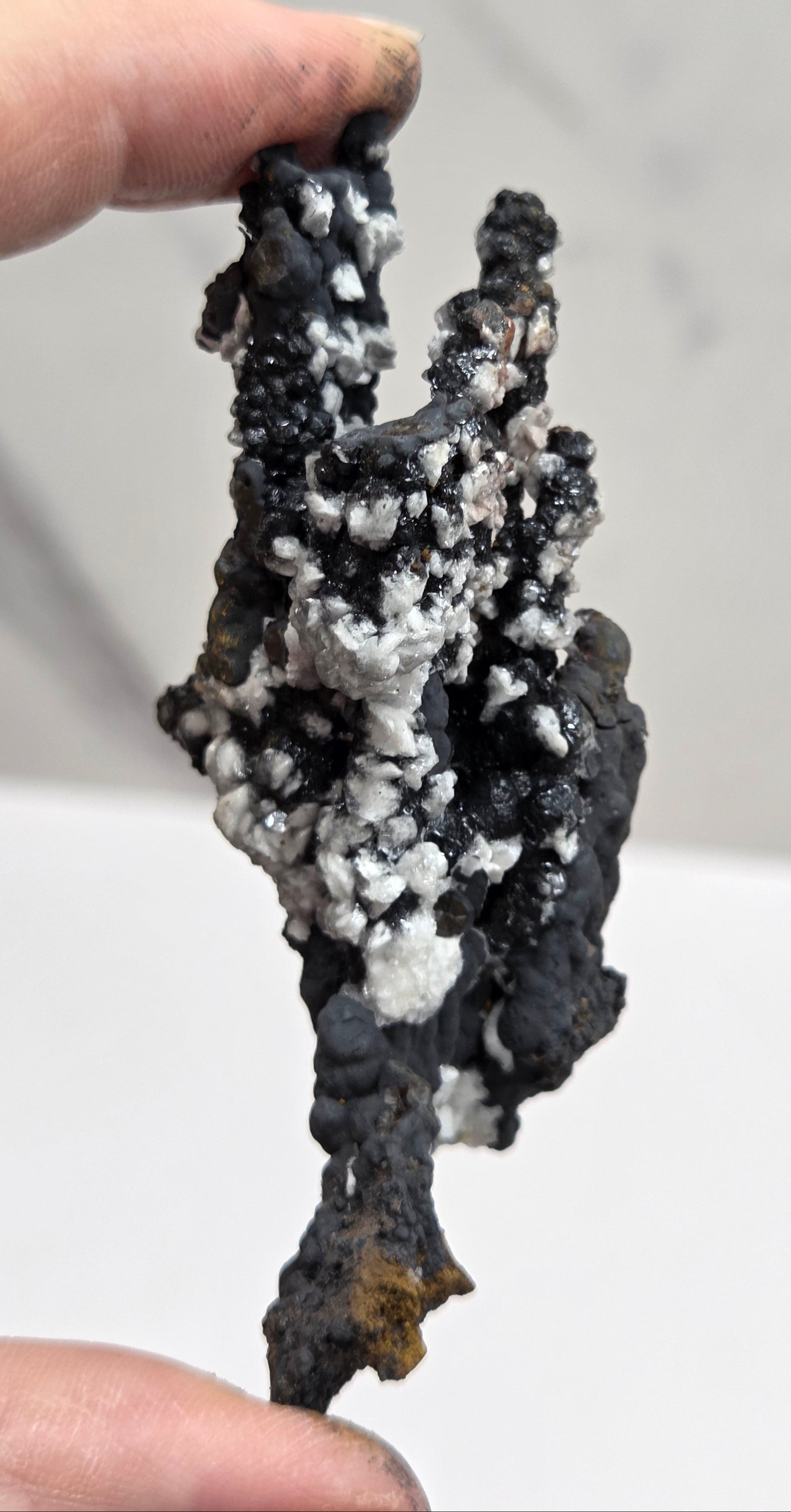 A close-up of a person's hands holding a small, irregularly shaped black mineral specimen with white crystalline deposits against a light gray background.