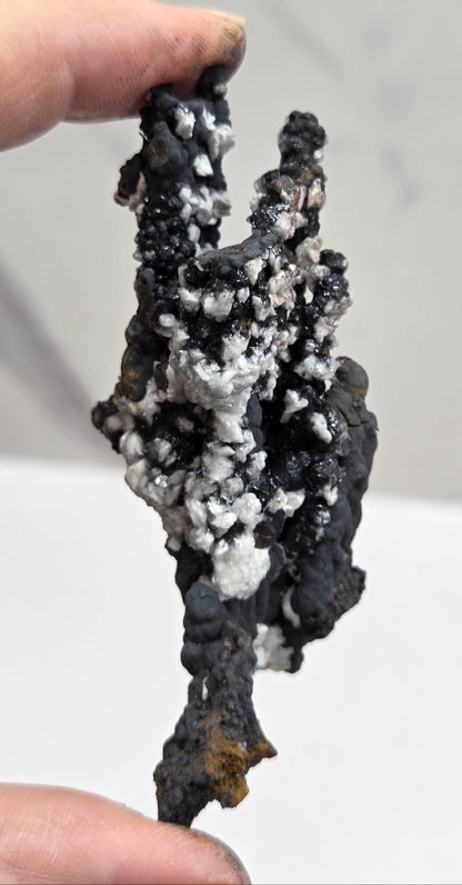 A close-up of a person's hands holding a small, irregularly shaped black mineral specimen with white crystalline deposits against a light gray background.