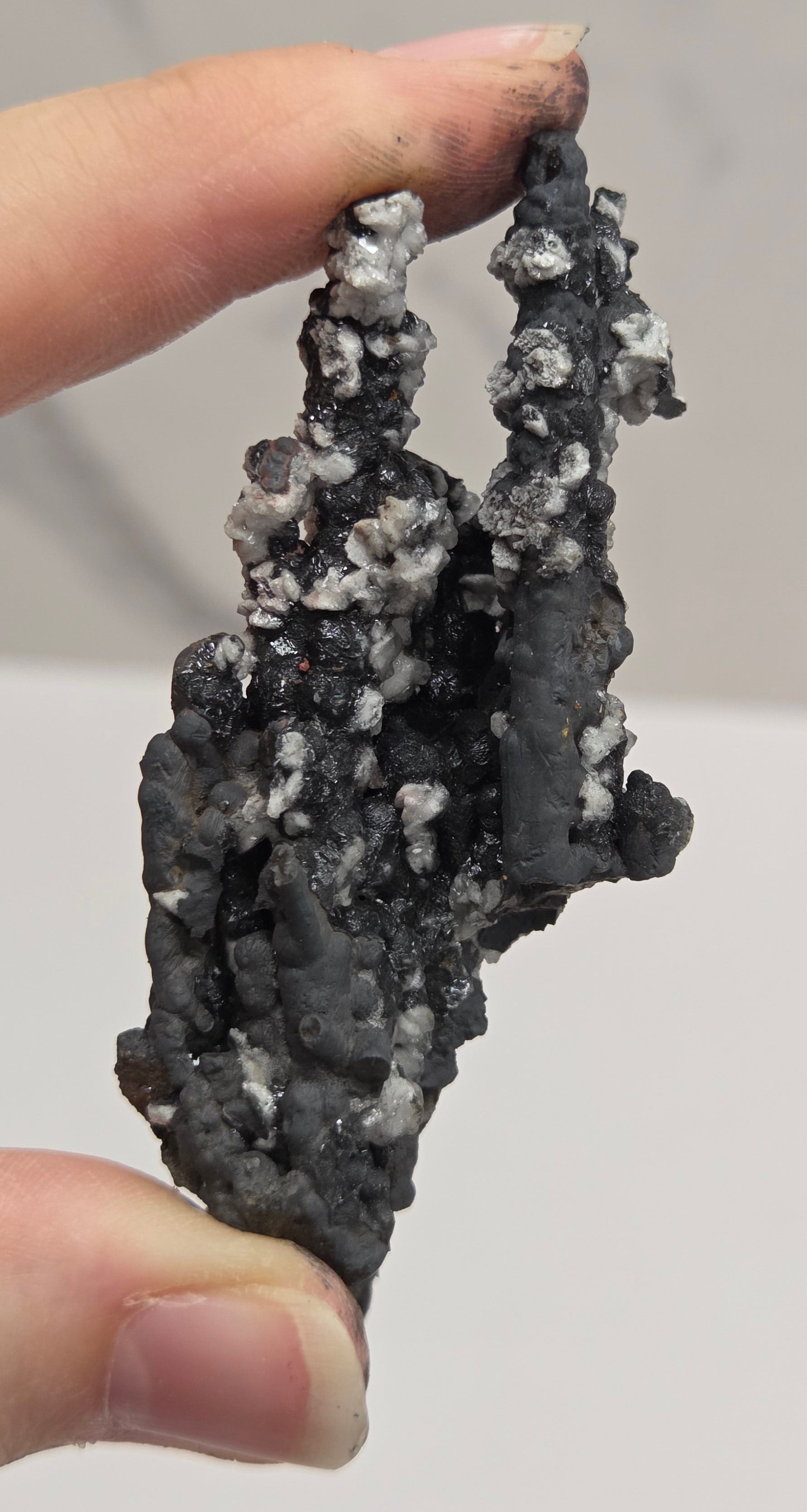 A close-up of a hand holding a rough, porous black and white mineral or stone specimen against a light gray background.