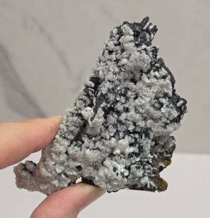 A hand holding a rough, textured mineral or crystal specimen with a mottled gray, white, and black crystalline surface against a light gray indoor background.