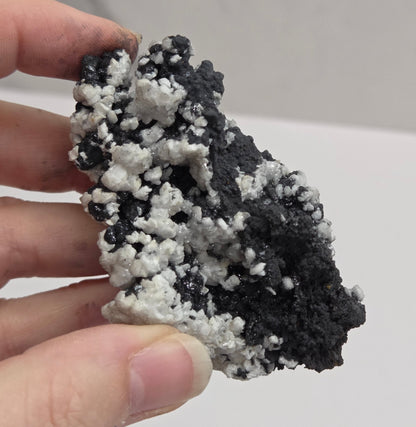 A hand holding a rough, porous black and white mineral or stone specimen against a plain light background.