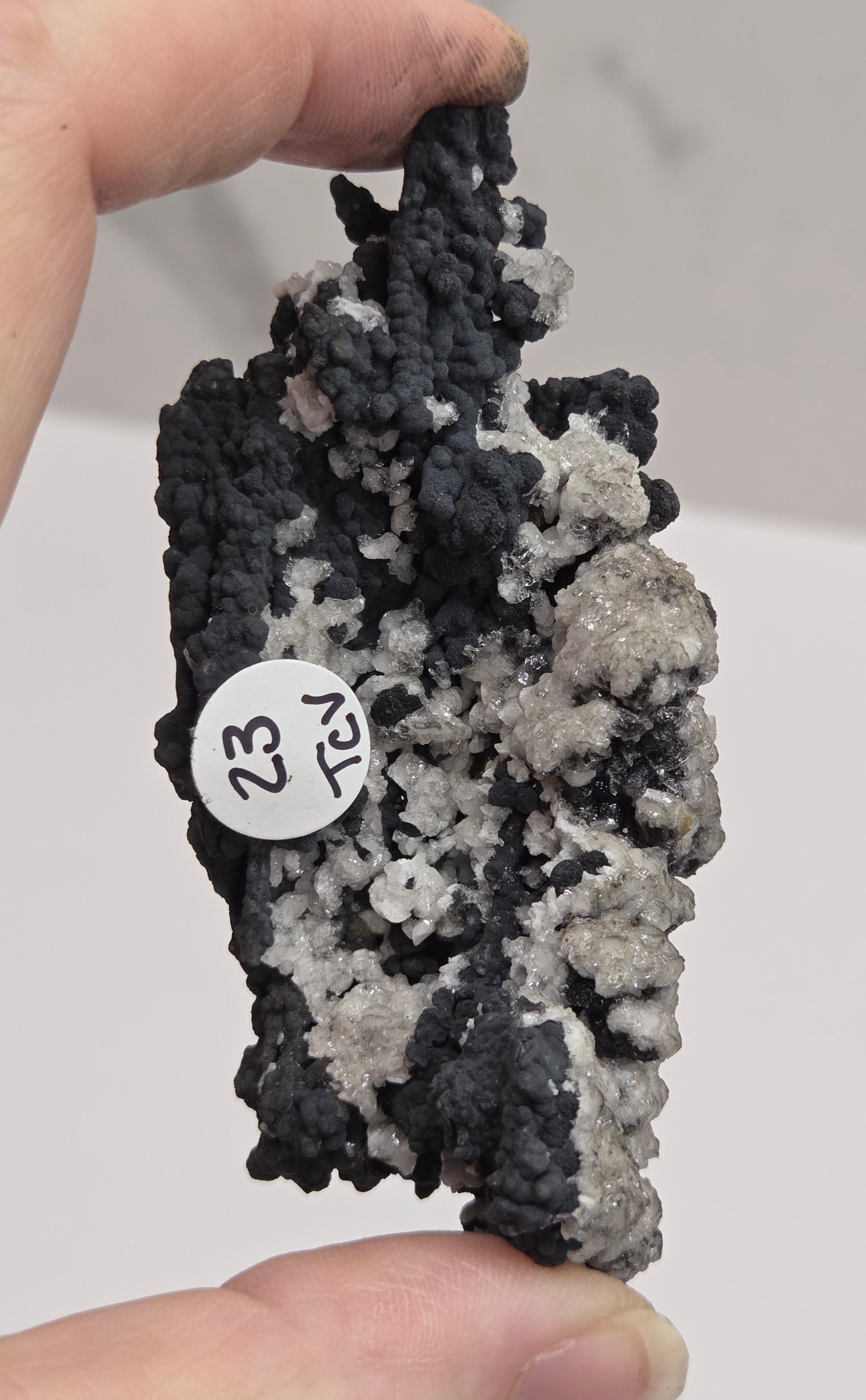 A person's hands holding a rough, porous black and white mineral or ceramic sample with a small white circular tag marked '23' and 'TEL'.