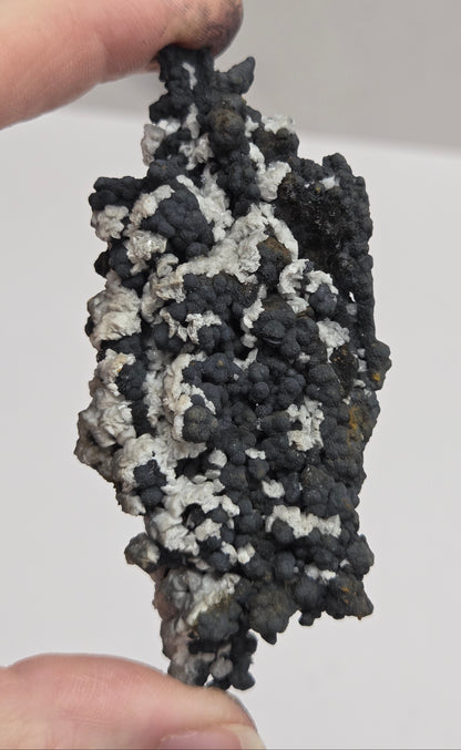 A hand holding a rough, porous black and white mineral or soil sample against a plain light background.