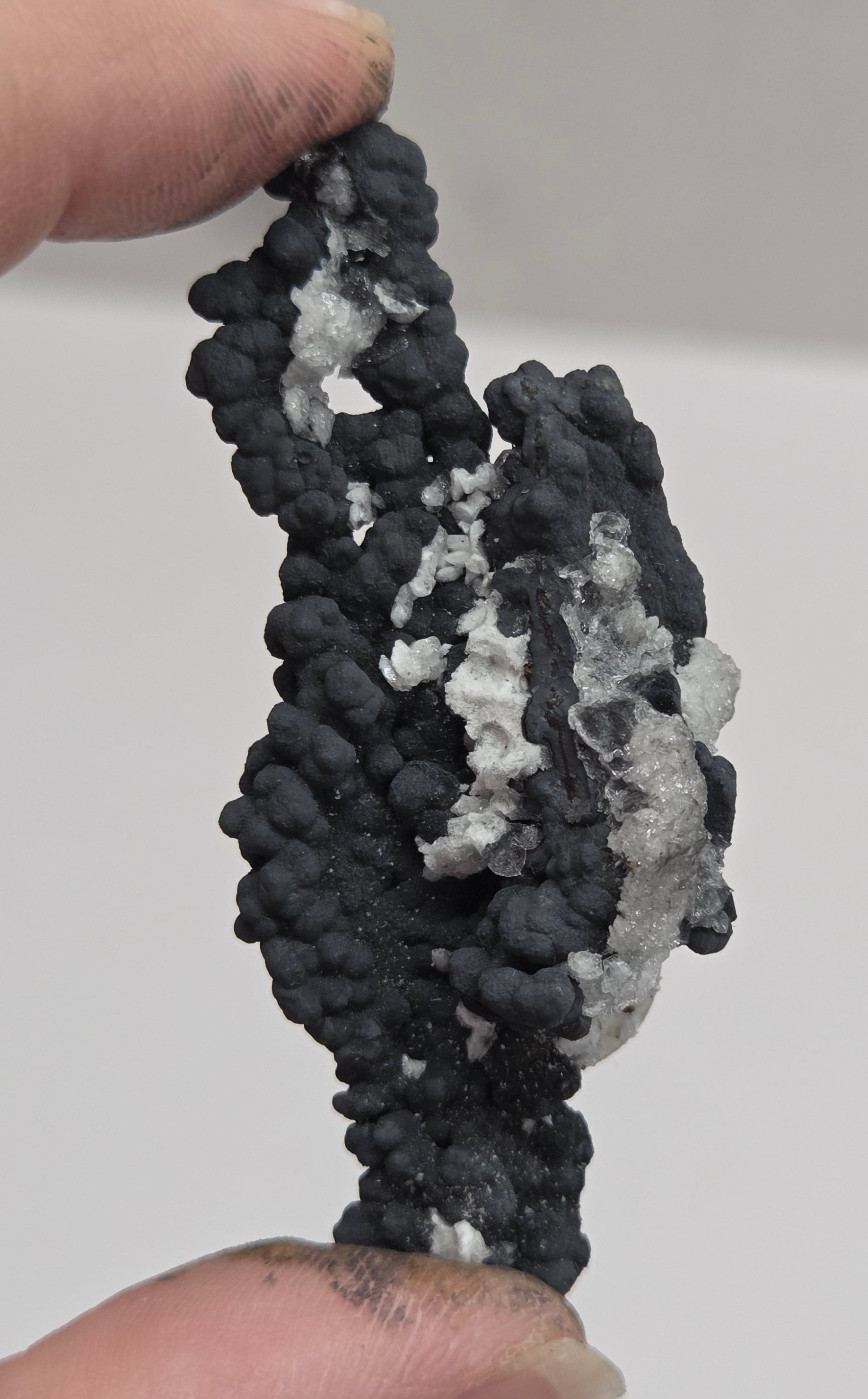 A close-up of a person's fingers holding a textured, porous black and white sponge-like material against a plain light gray background.