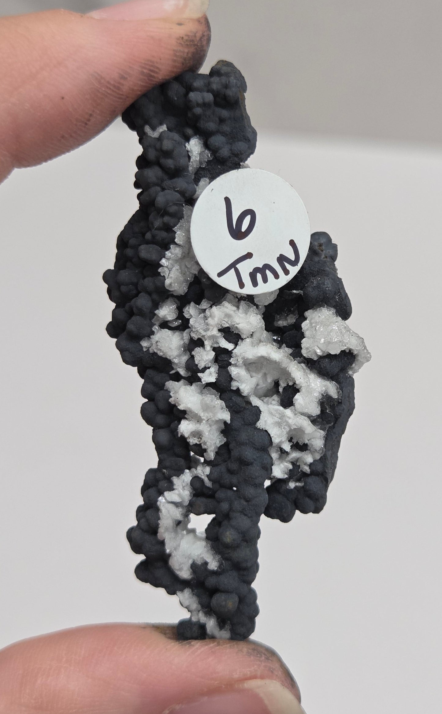 A close-up of a hand holding a small, textured black and white object with a small white tag marked 'T6' against a plain light background.