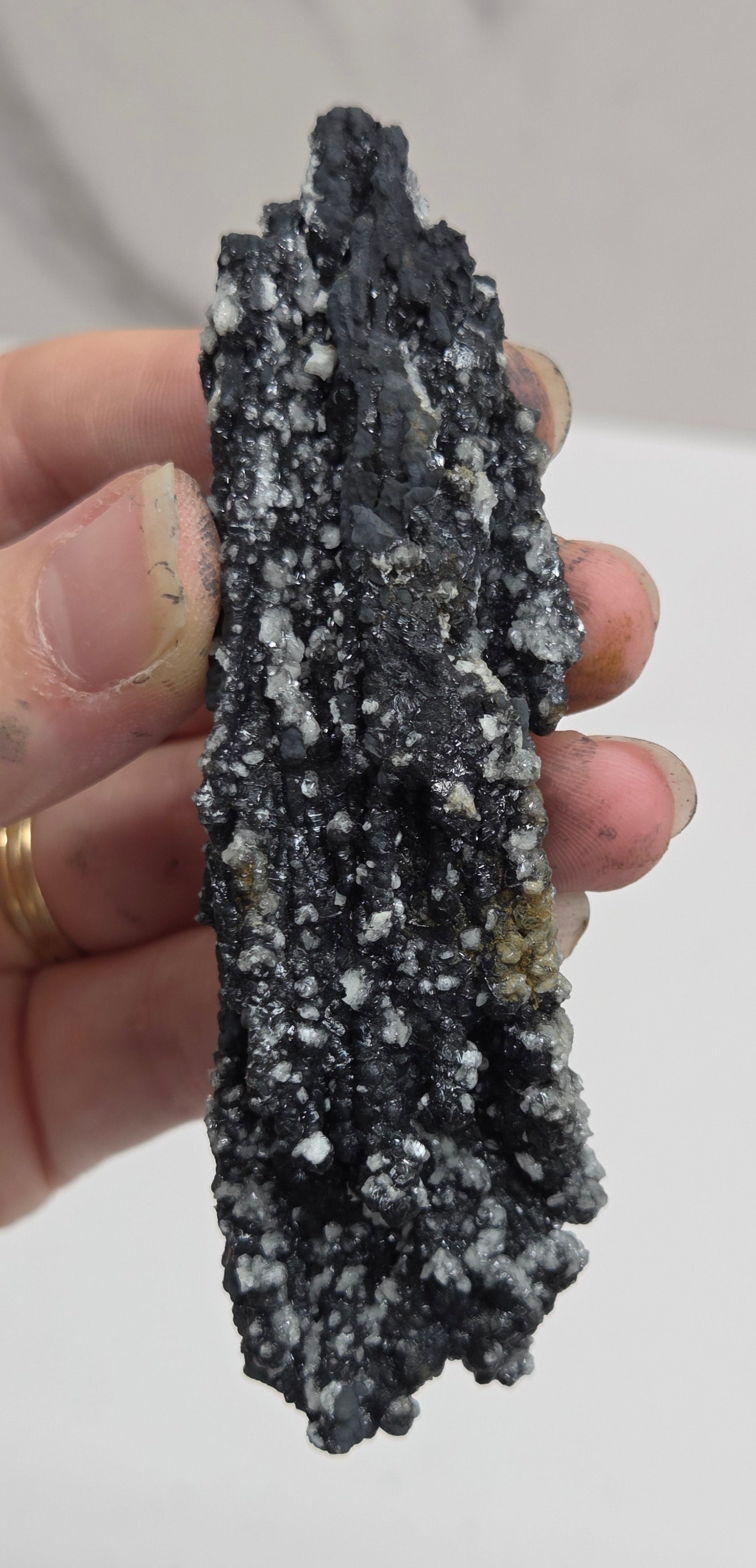 A hand holding a rough, crystalline mineral specimen with a dark gray to black matrix and prominent white and light gray crystal points, set against a plain light background.