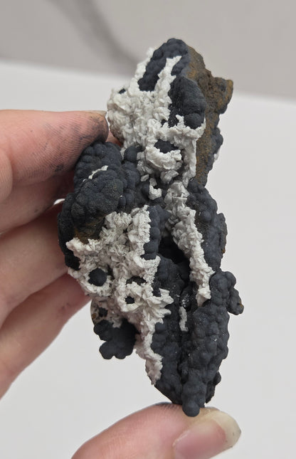 A person's hand holding a rough mineral specimen featuring dark gray to black dendritic crystal formations over a light gray to off-white matrix, with a small gold ring on one finger.