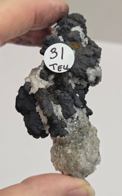 A person's hands holding a natural mineral specimen showing black, white, and gray crystalline formations, with a small white circular label reading '31 Jeu'.