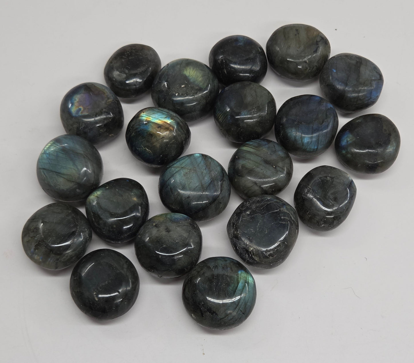 A group of polished round labradorite gemstone cabochons with a dark gray base and shimmering blue-green iridescence, arranged on a plain light gray surface.