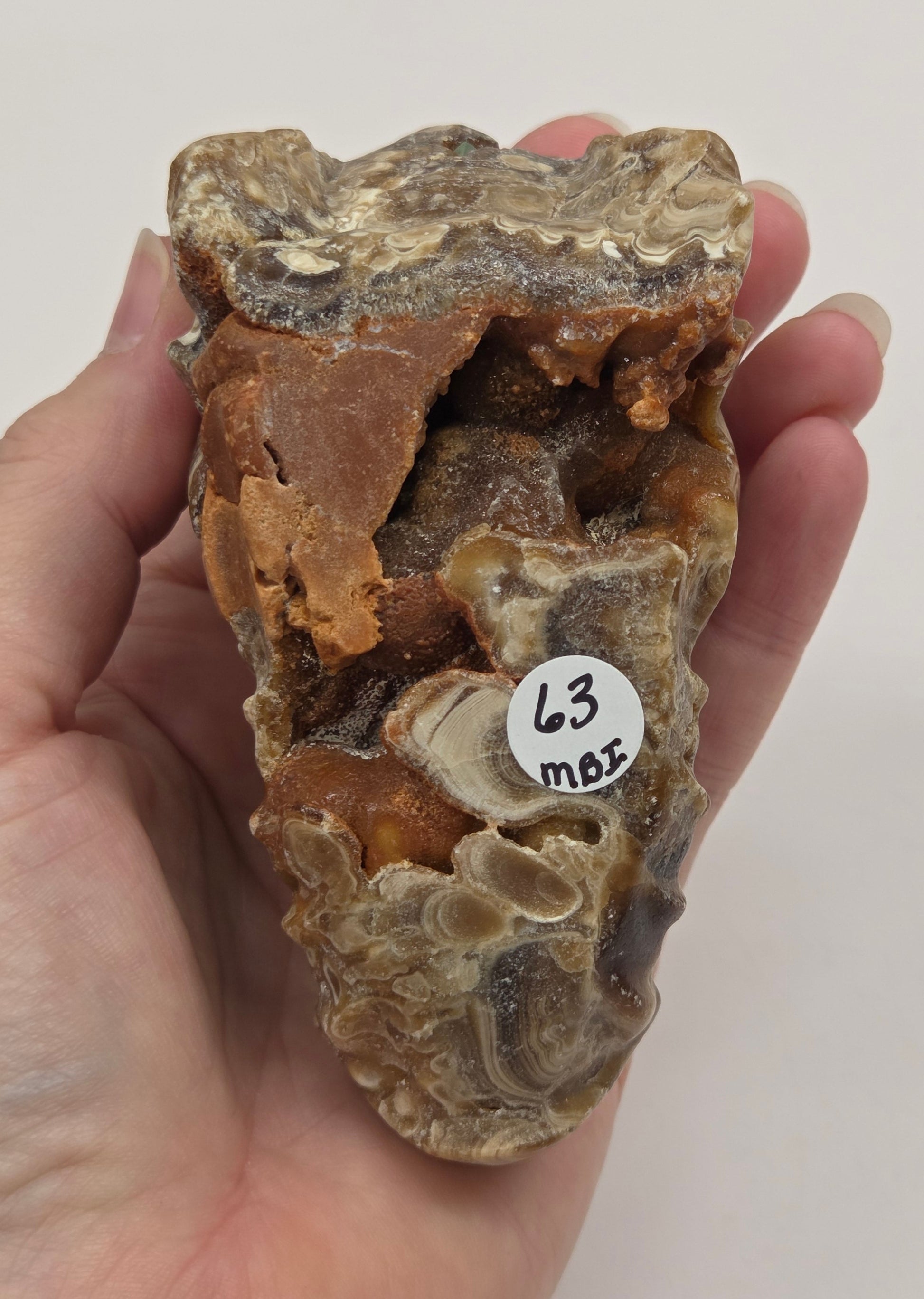 A hand holding a small, rough, organic-shaped specimen with a white circular sticker that reads '63 MBS'. The specimen has a textured, earthy color profile of brown, tan, and gray.