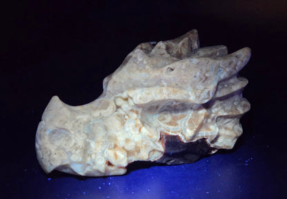 A natural stone carving shaped like a stylized animal head, displayed on a dark surface under blue lighting.