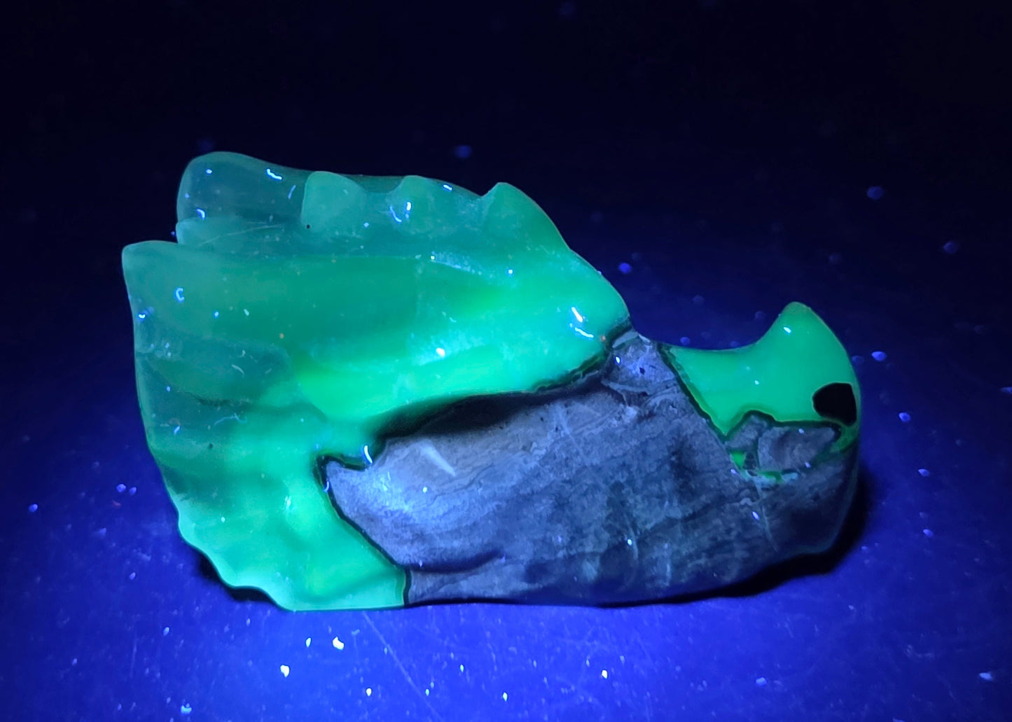 A small irregular stone or mineral sample with a bright fluorescent green outer layer and a dark gray inner layer, photographed on a dark blue surface under blue light.