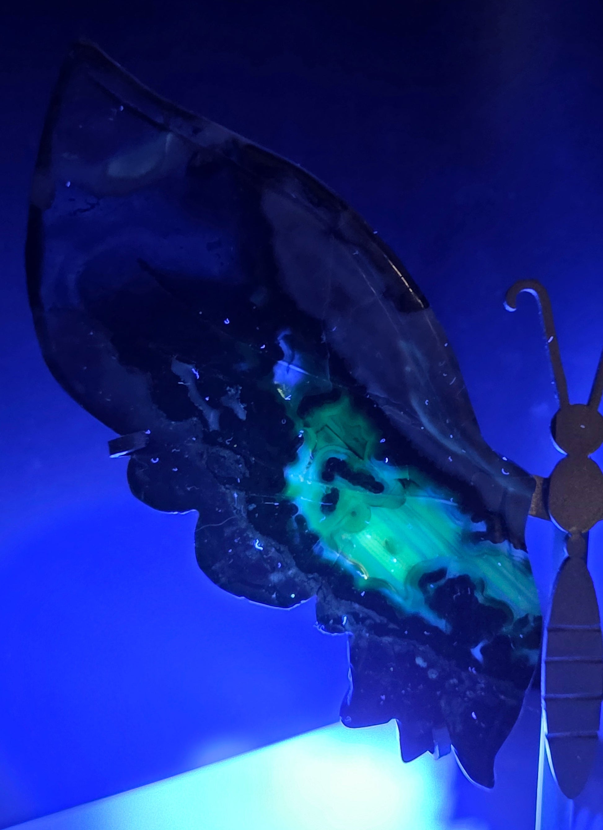 A butterfly-shaped pendant or ornament with glowing neon green and yellow inclusions inside dark translucent wings, shown under strong blue light.