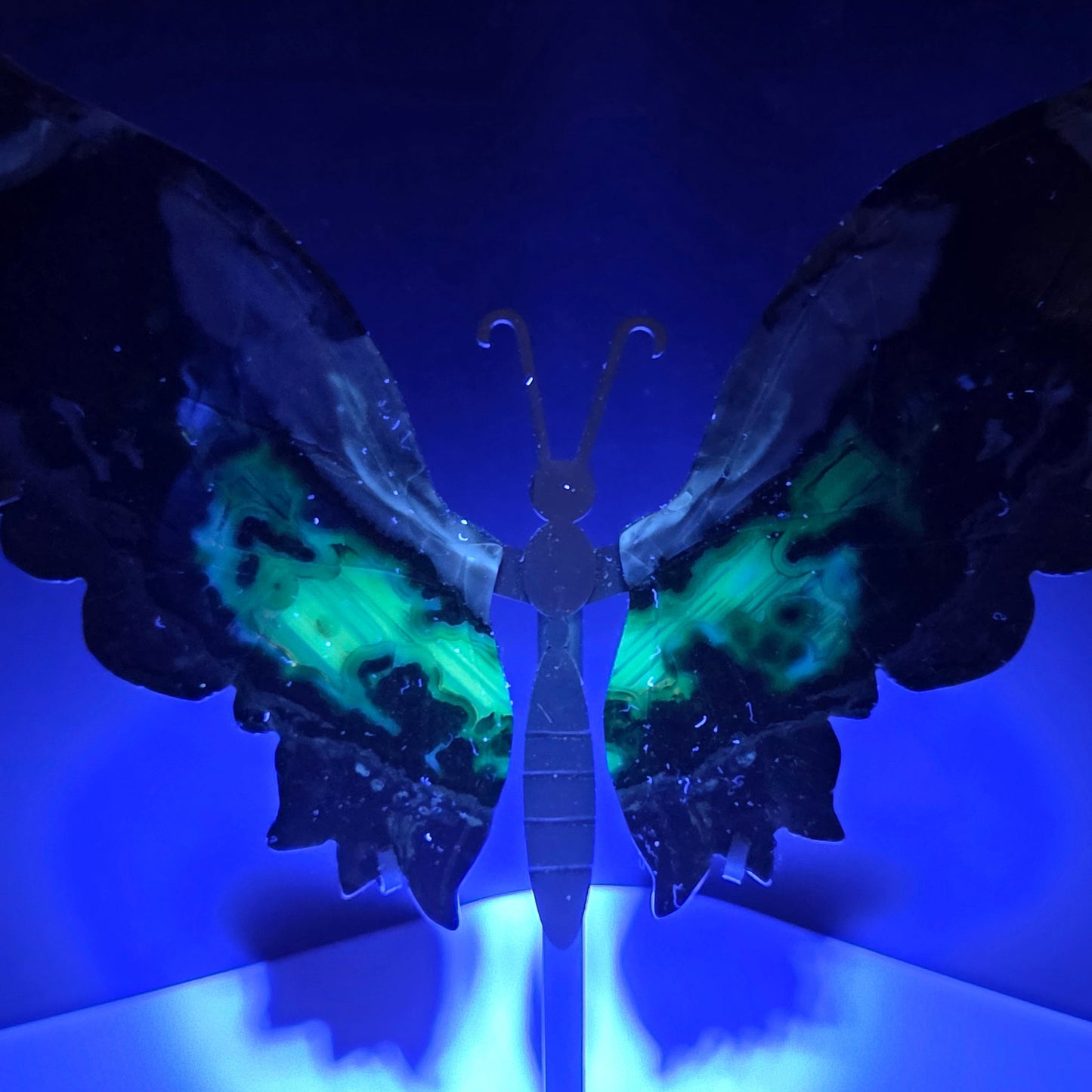 A butterfly-shaped decorative object with glowing neon green and black marbled wings, shown under strong blue light against a dark background.