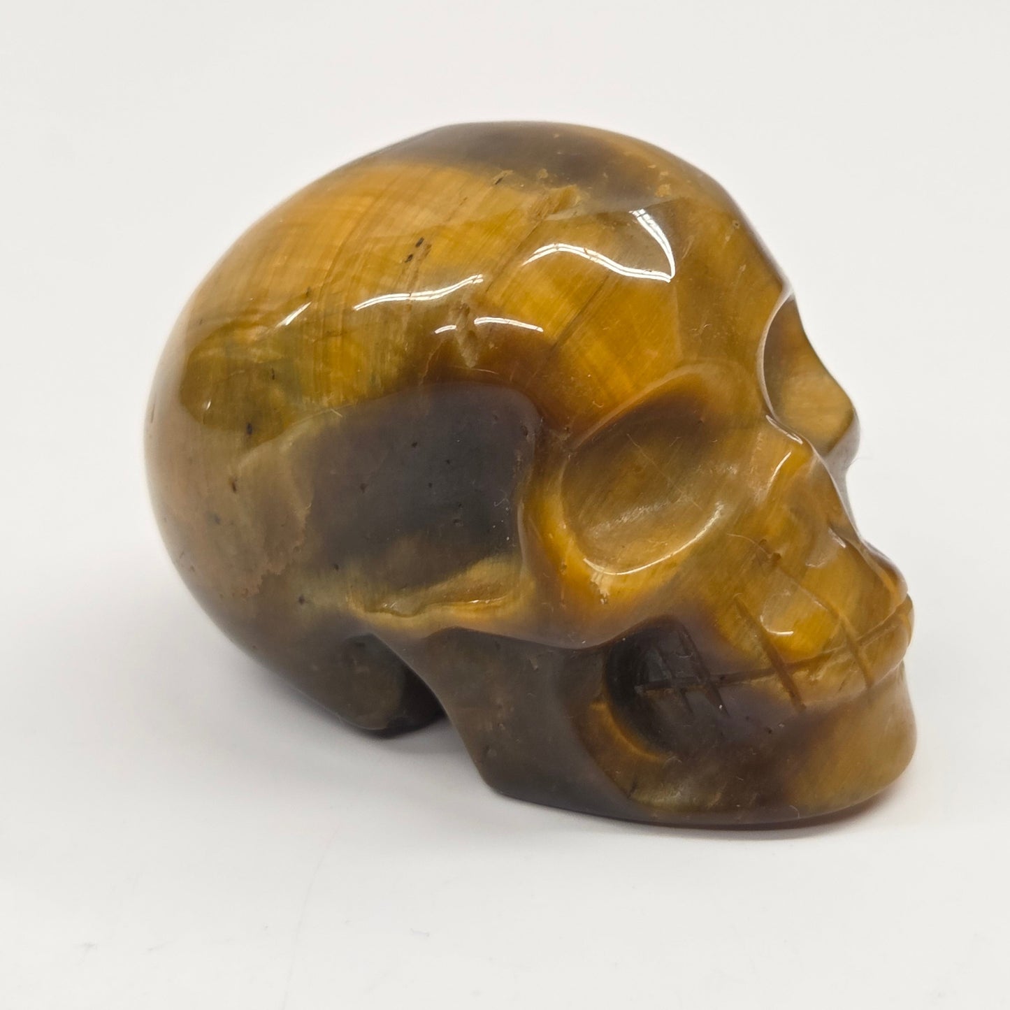 A polished carved skull made of tiger's eye stone, showing natural golden-brown and dark brown banded patterns, photographed on a plain white background.