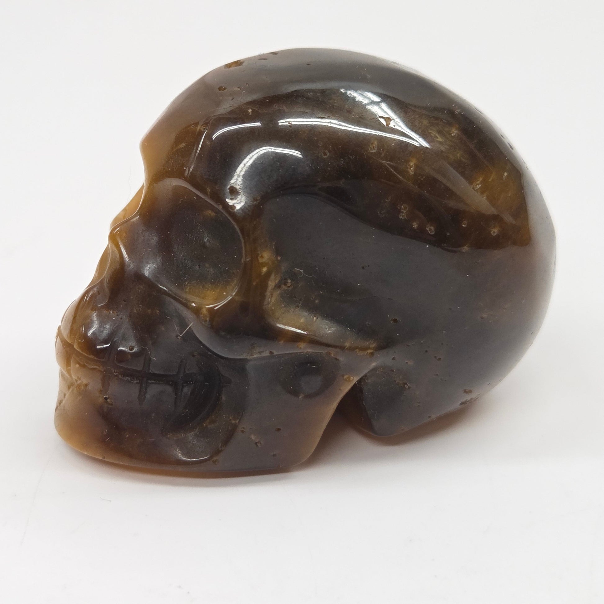 A carved human skull figurine made of polished dark brown agate or jasper stone, shown on a plain white background.