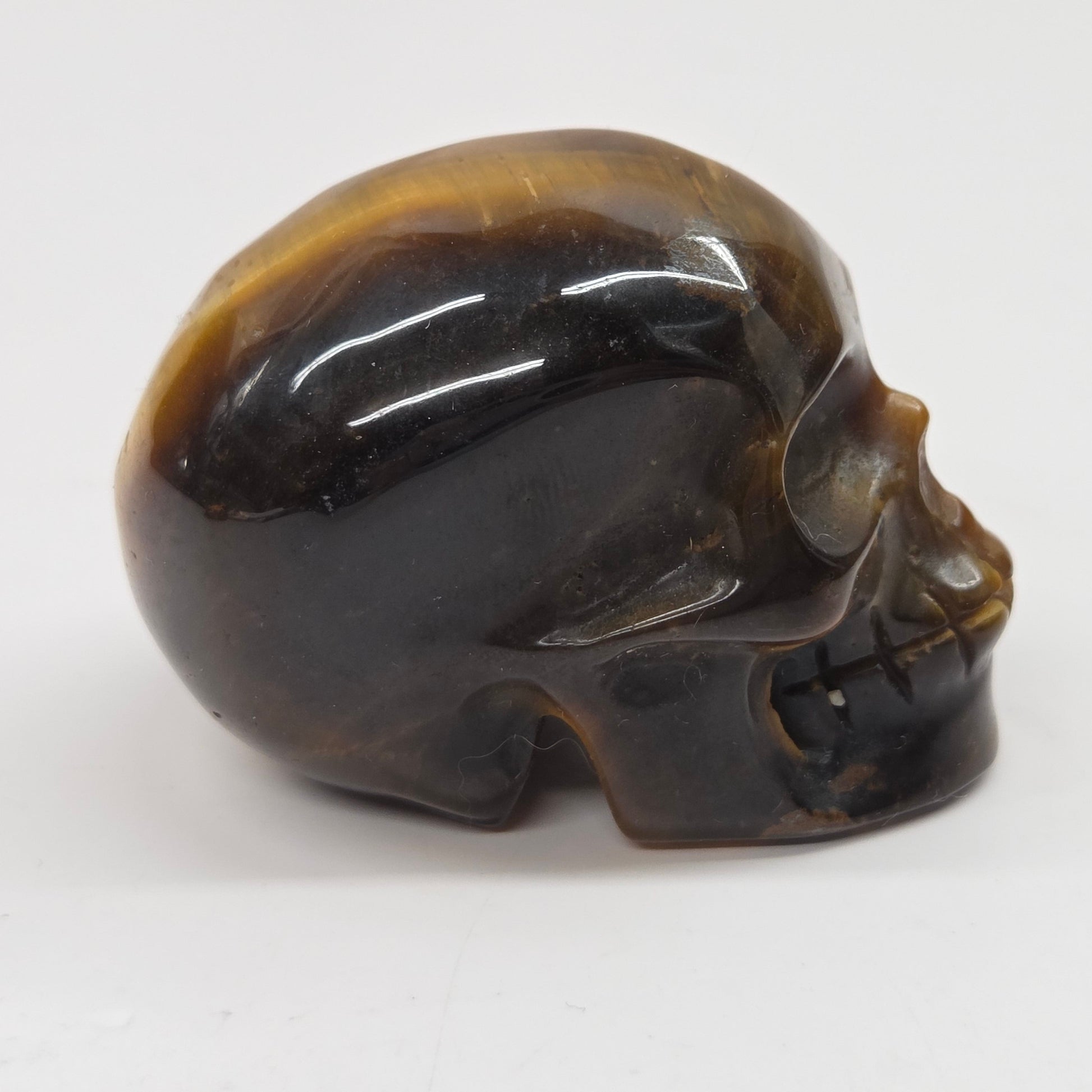 A polished carved skull made of tiger's eye stone, showing natural brown and black banded patterns, set against a plain white background.