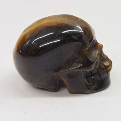 A polished carved skull made of tiger's eye stone, showing natural brown and black banded patterns, set against a plain white background.