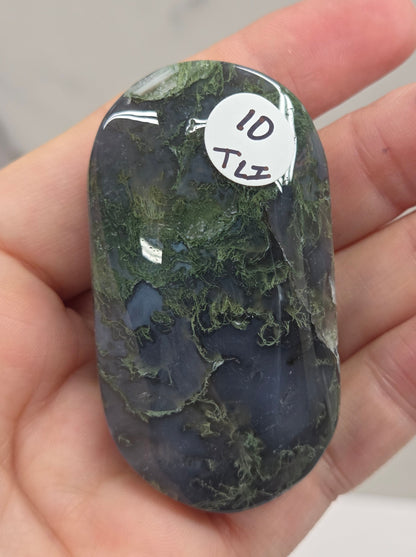 A hand holding a polished dark green and black marbled stone with a white circular sticker that reads 'ID T13'.