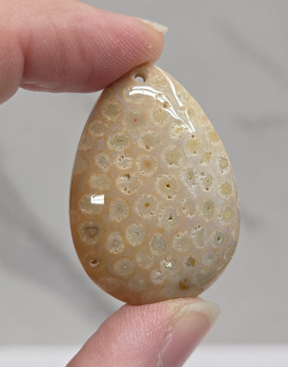A close-up of a hand holding a polished teardrop-shaped stone with a honeycomb or coral-like pattern in warm beige and cream tones, against a soft gray marble-like background.