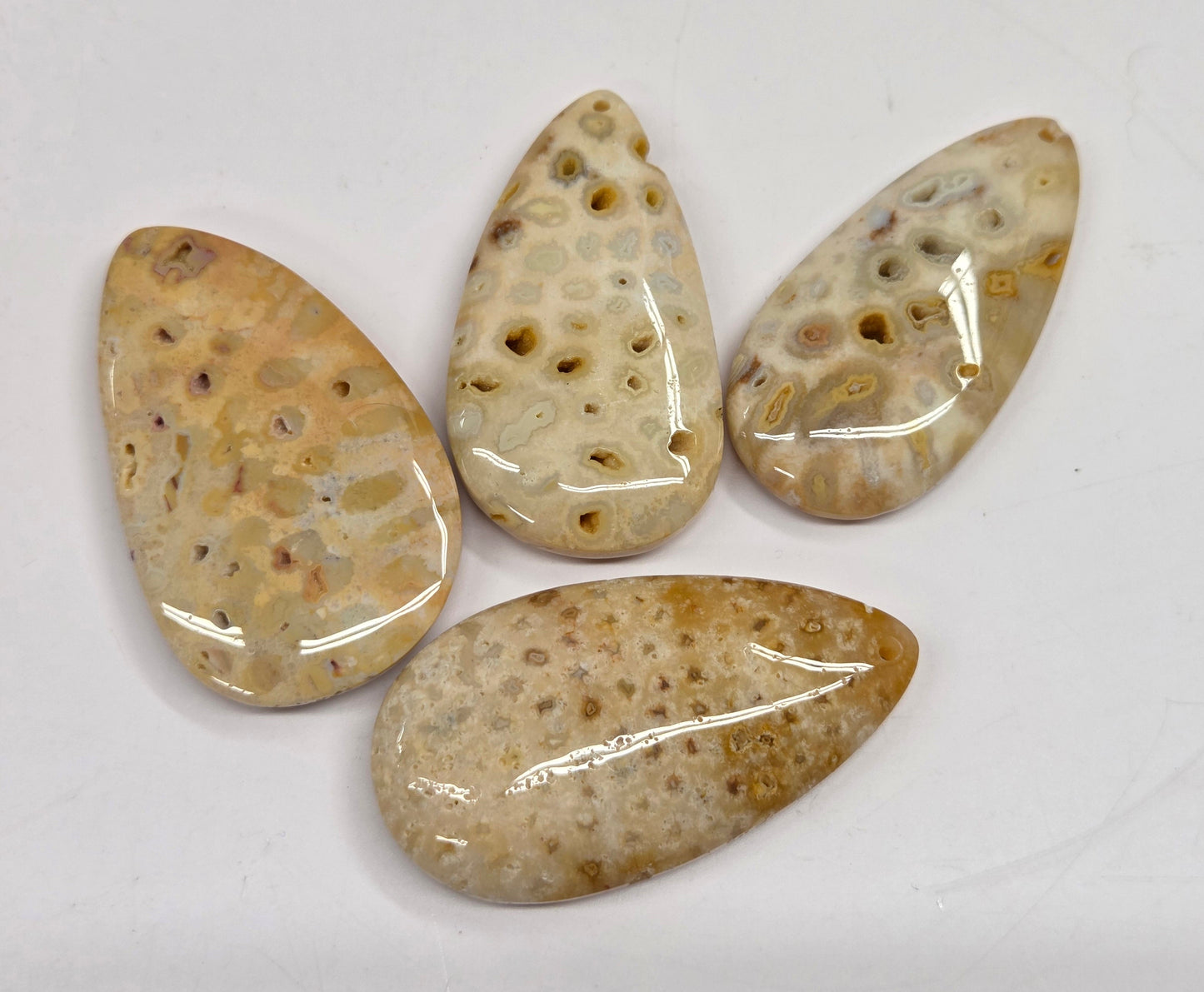 Four polished teardrop-shaped cabochons made of natural sea urchin sandstone, featuring a mottled pattern of beige, cream, and brown, arranged on a plain white background.