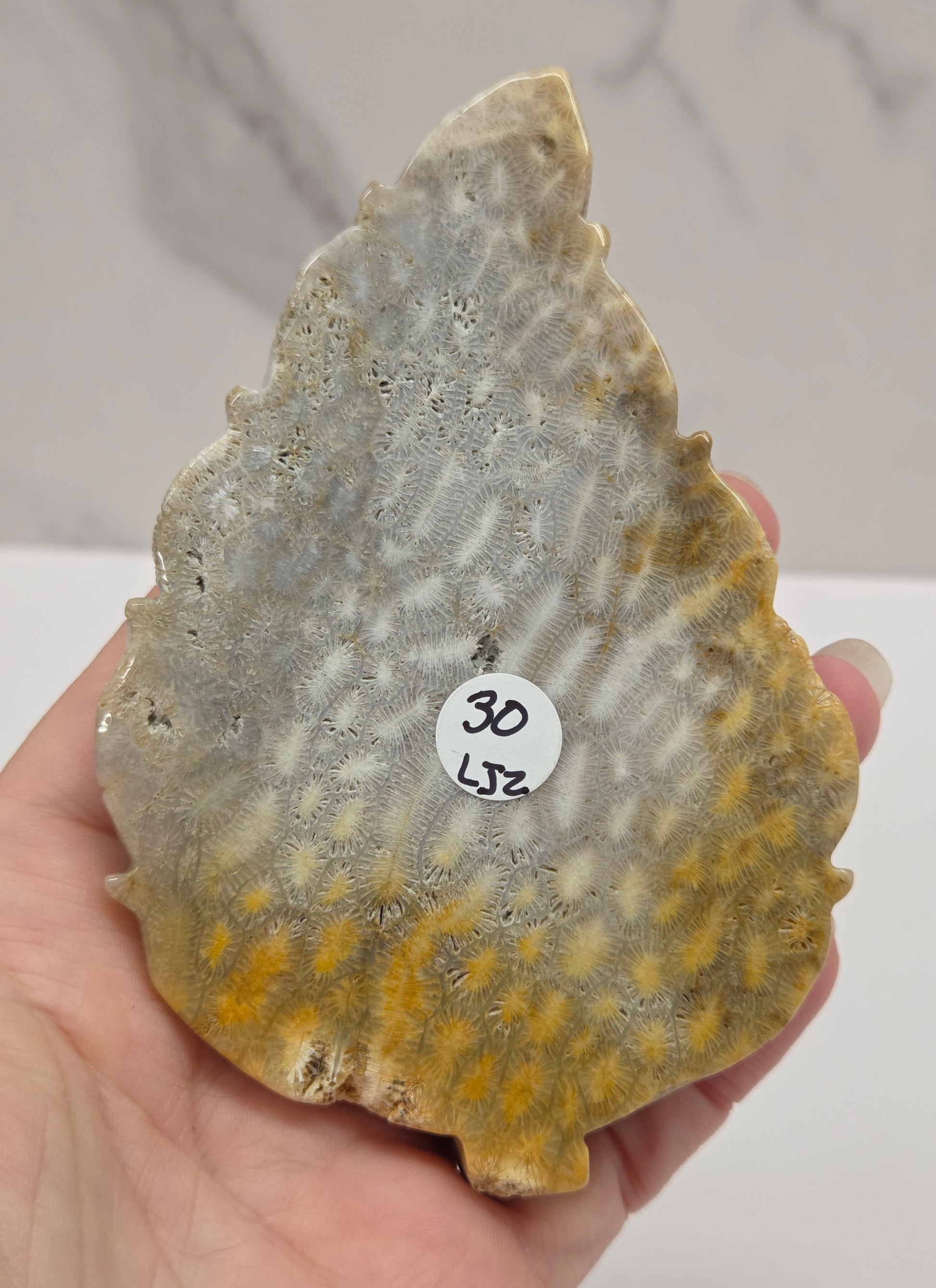 A hand holding a flat, irregular stone or mineral specimen with a mottled gray, beige, and yellow-brown pattern. A small white sticker with black numbers is attached near the center.